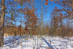 Sleepy Hollow Phase I Tract 2