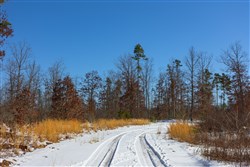 Sleepy Hollow Phase I Tract 2