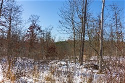Sleepy Hollow Phase I Tract 2