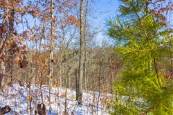 Sleepy Hollow Phase I Tract 20