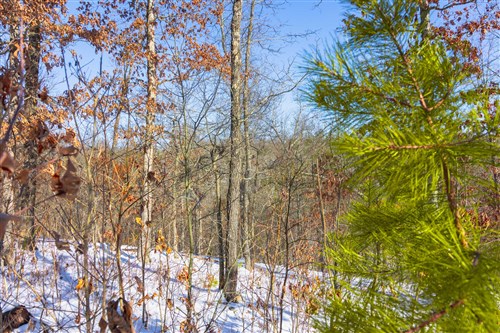 Sleepy Hollow Phase I Tract 20