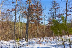 Sleepy Hollow Phase I Tract 20