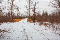 Sleepy Hollow Phase I Tract 21