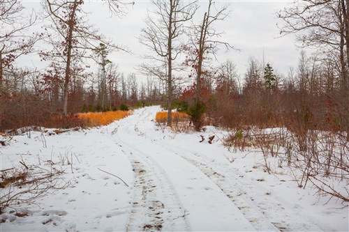 Sleepy Hollow Phase I Tract 21