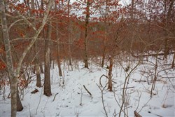 Sleepy Hollow Phase I Tract 21