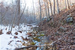 Sleepy Hollow Phase I Tract 21