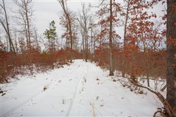 Sleepy Hollow Phase I Tract 21