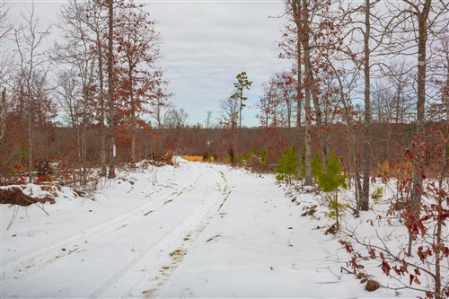 Sleepy Hollow Phase I Tract 22