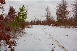 Sleepy Hollow Phase I Tract 22