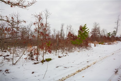 Sleepy Hollow Phase I Tract 22