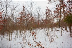 Sleepy Hollow Phase I Tract 22