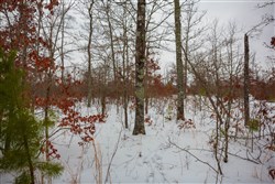 Sleepy Hollow Phase I Tract 22