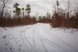 property photo for Sleepy Hollow Phase I Tract 23, 11.73 acres for sale in Texas County, Missouri