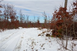 property photo for Sleepy Hollow Phase I Tract 23, 11.73 acres for sale in Texas County, Missouri