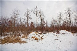 property photo for Sleepy Hollow Phase I Tract 23, 11.73 acres for sale in Texas County, Missouri