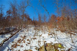 Sleepy Hollow Phase I Tract 24