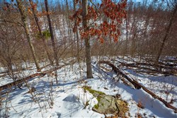 Sleepy Hollow Phase I Tract 24