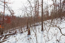 Sleepy Hollow Phase I Tract 24