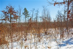 Sleepy Hollow Phase I Tract 24