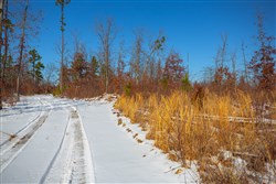 Sleepy Hollow Phase I Tract 25