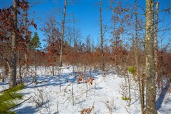 Sleepy Hollow Phase I Tract 25