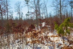 Sleepy Hollow Phase I Tract 25