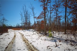 Sleepy Hollow Phase I Tract 26