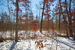 Sleepy Hollow Phase I Tract 26