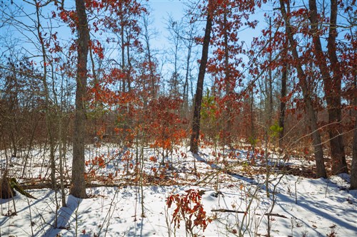 Sleepy Hollow Phase I Tract 26