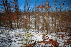 Sleepy Hollow Phase I Tract 26