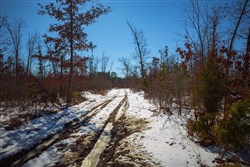 Sleepy Hollow Phase I Tract 27