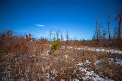 Sleepy Hollow Phase I Tract 27