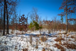 Sleepy Hollow Phase I Tract 27