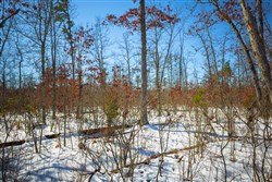 Sleepy Hollow Phase I Tract 27