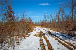 Sleepy Hollow Phase I Tract 28