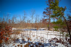 Sleepy Hollow Phase I Tract 28