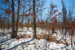 Sleepy Hollow Phase I Tract 28