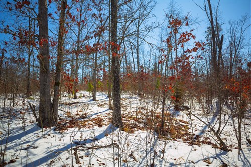 Sleepy Hollow Phase I Tract 28