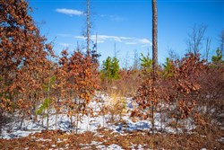 Sleepy Hollow Phase I Tract 28