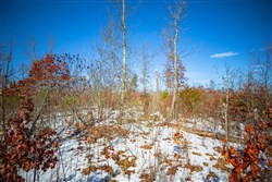 Sleepy Hollow Phase I Tract 28