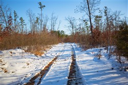 Sleepy Hollow Phase I Tract 29