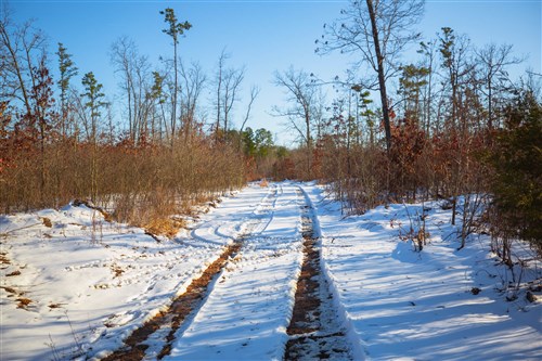 Sleepy Hollow Phase I Tract 29