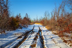 Sleepy Hollow Phase I Tract 29