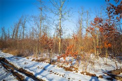 Sleepy Hollow Phase I Tract 29