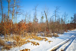 Sleepy Hollow Phase I Tract 29