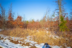 Sleepy Hollow Phase I Tract 29