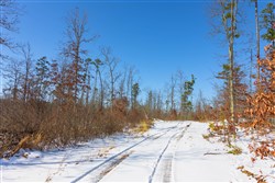 Sleepy Hollow Phase I Tract 3