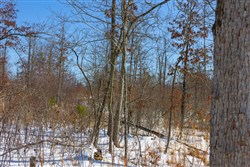 Sleepy Hollow Phase I Tract 3