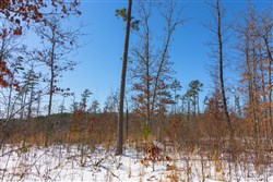 Sleepy Hollow Phase I Tract 3