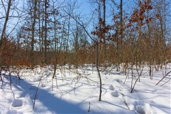 Sleepy Hollow Phase I Tract 3